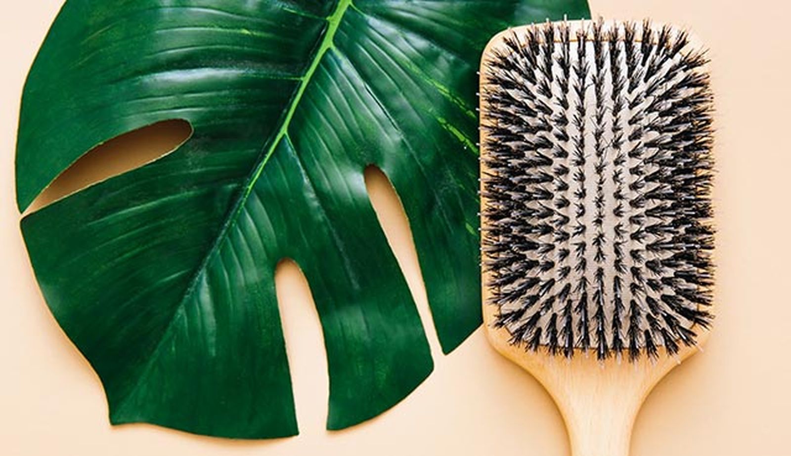 los mejores cepillos para desenredar el pelo sin romperlo nylon jabali los mejores cepillos para desenredar el pelo sin romperlo nylon jabali