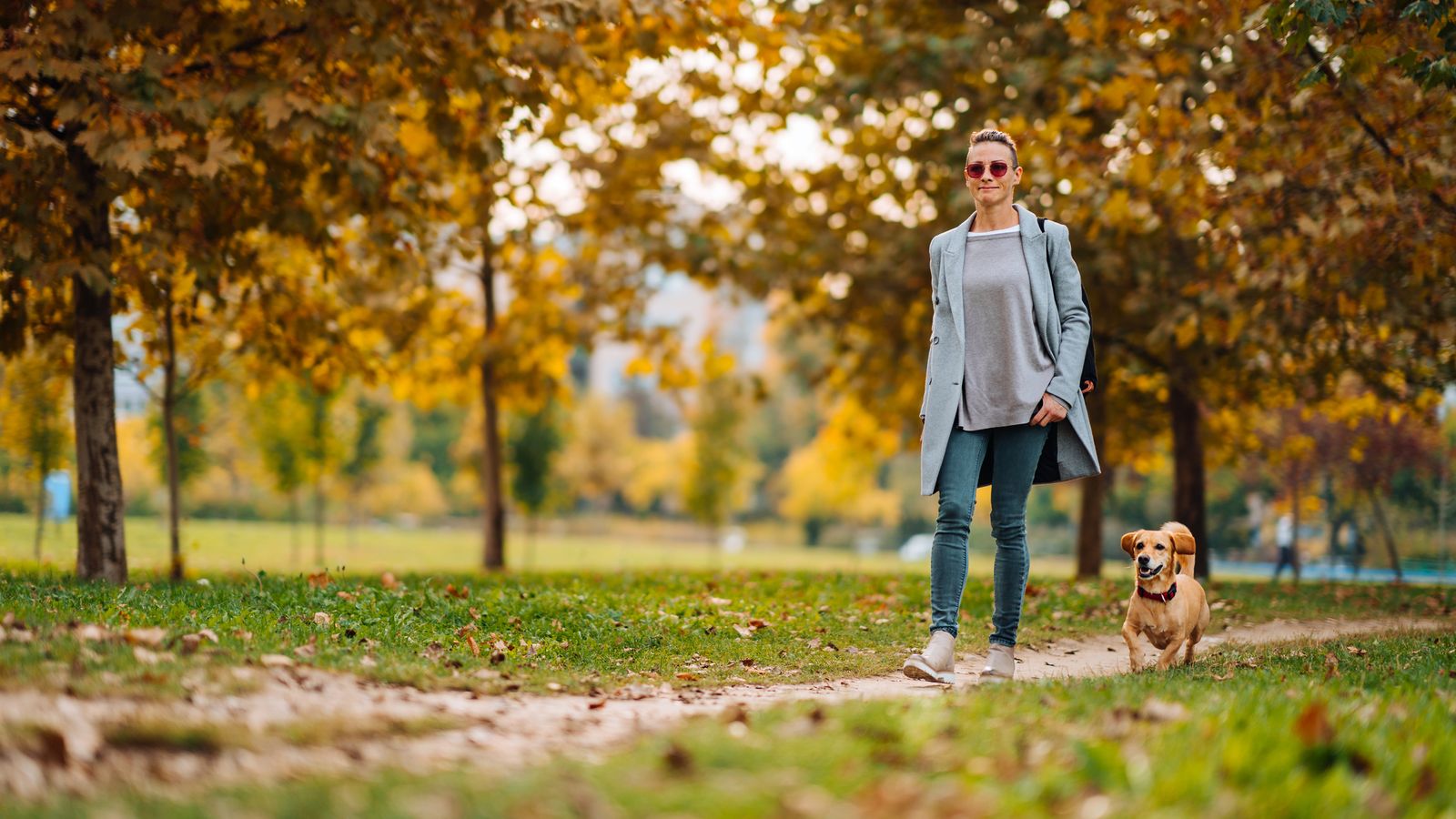 Deja a un lado las pantallas y disfurta de la naturaleza