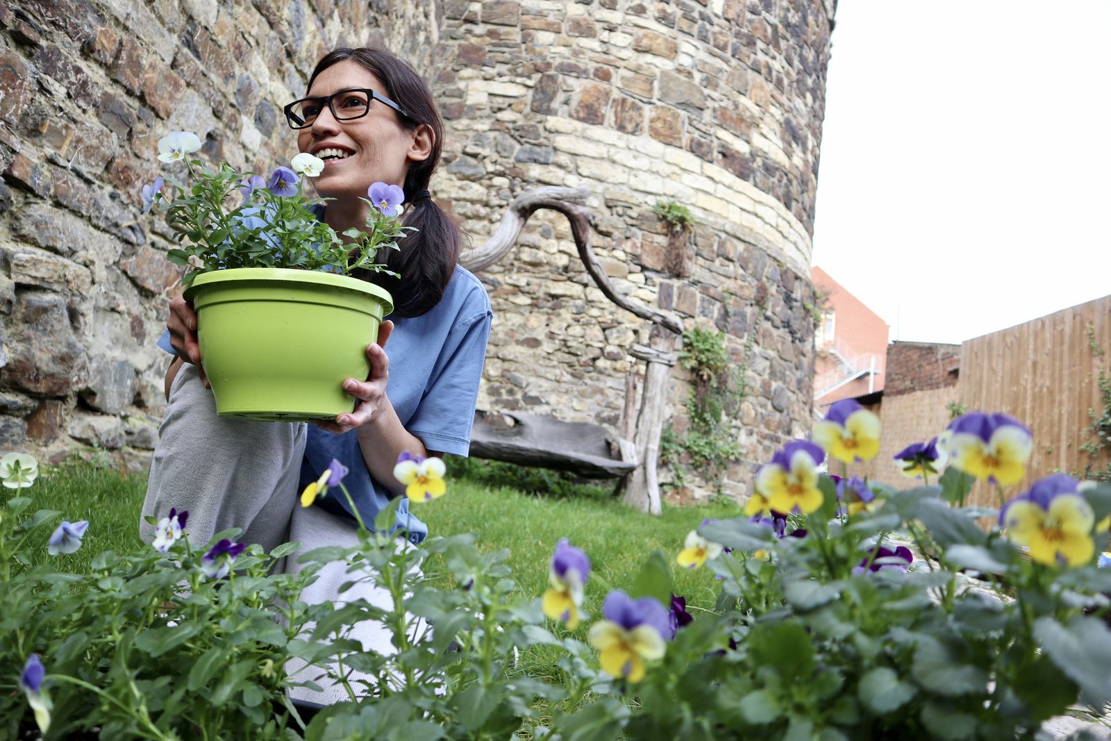 Las plantas impactan directamente en la energia de tu casa