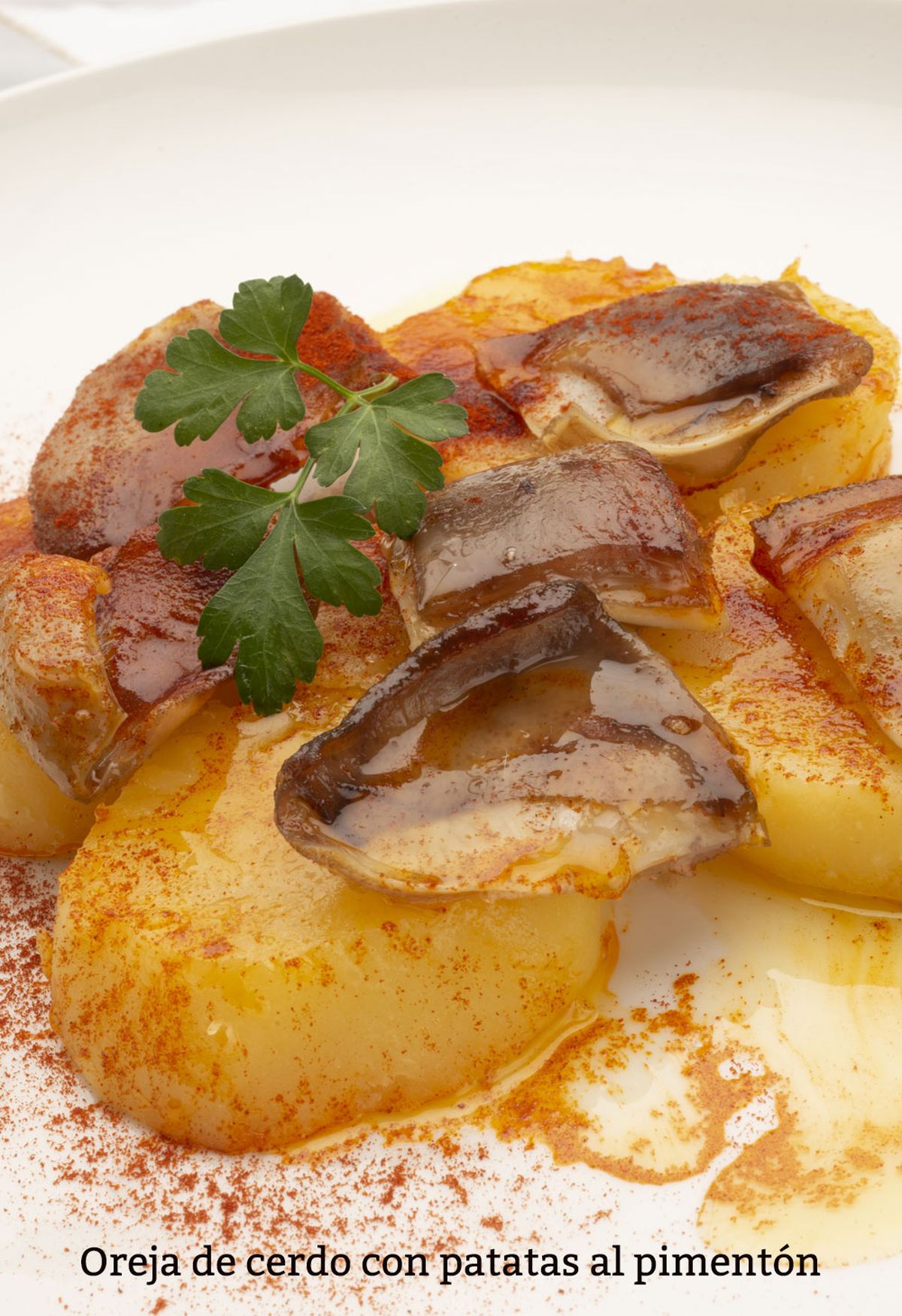 oreja cerdo vertical