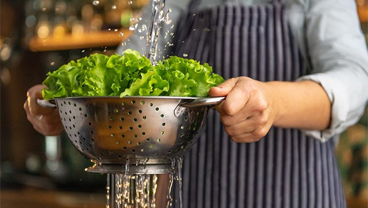 Cómo conservar lechuga fresca en la nevera  limpiar lechuga