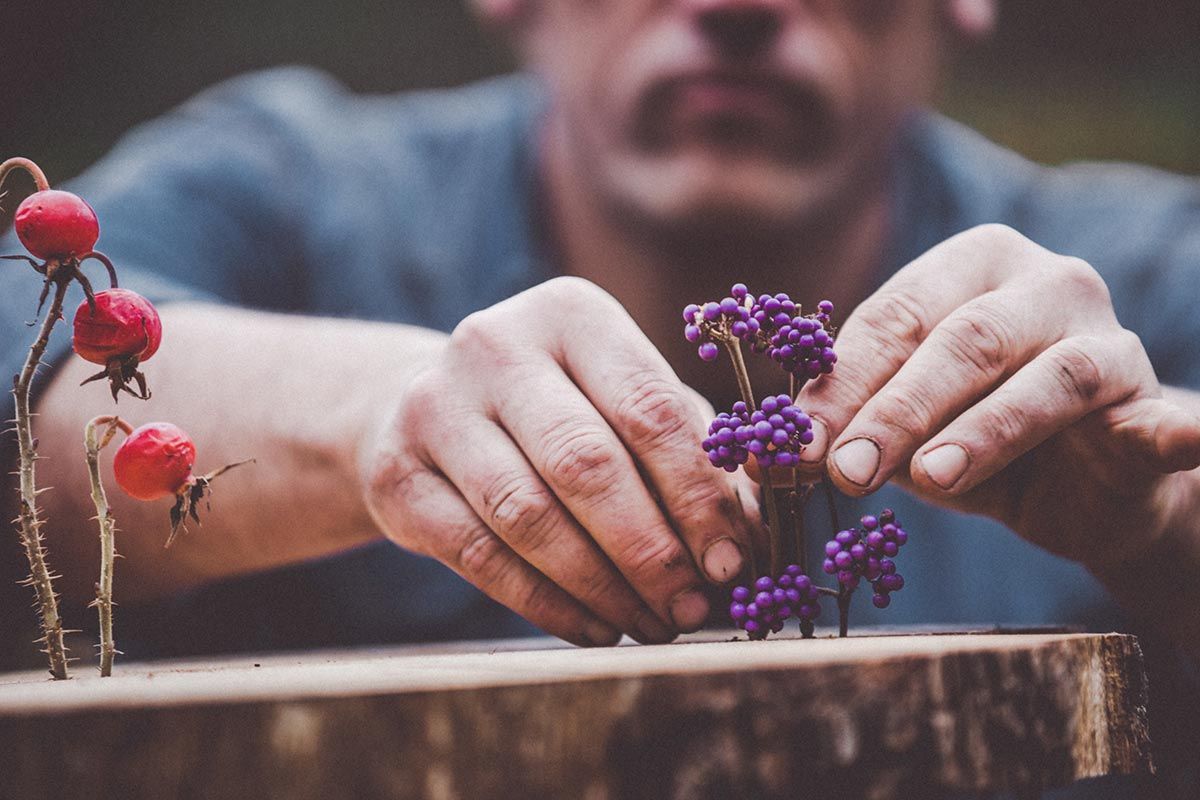 972 bayas invernales atipicas centro