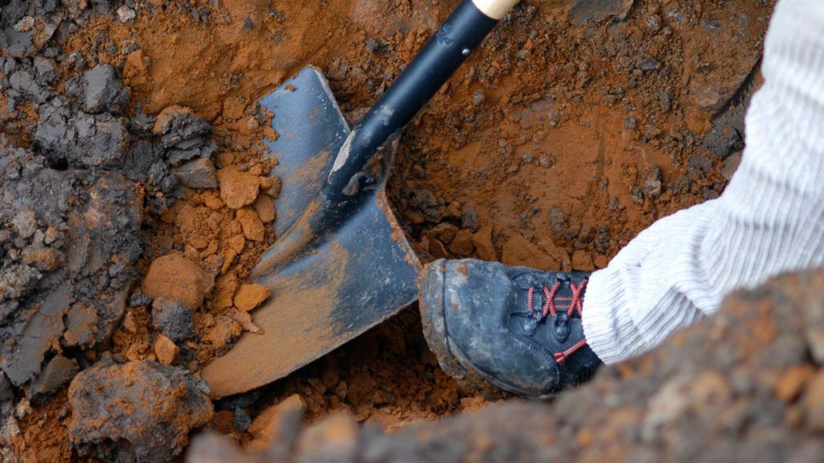 Tipos de palas paso 4