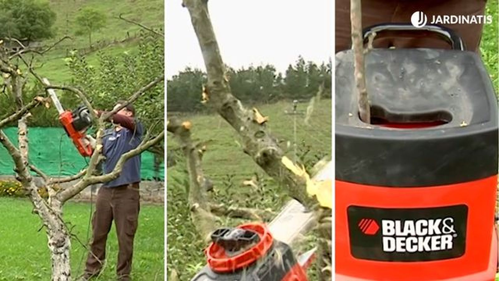 que es apeo talado arboles brico 723 que es apeo talado arboles brico 723