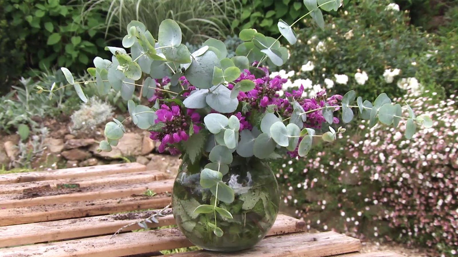 deco 740 jardineria lamium composicion deco 740 jardineria lamium composicion