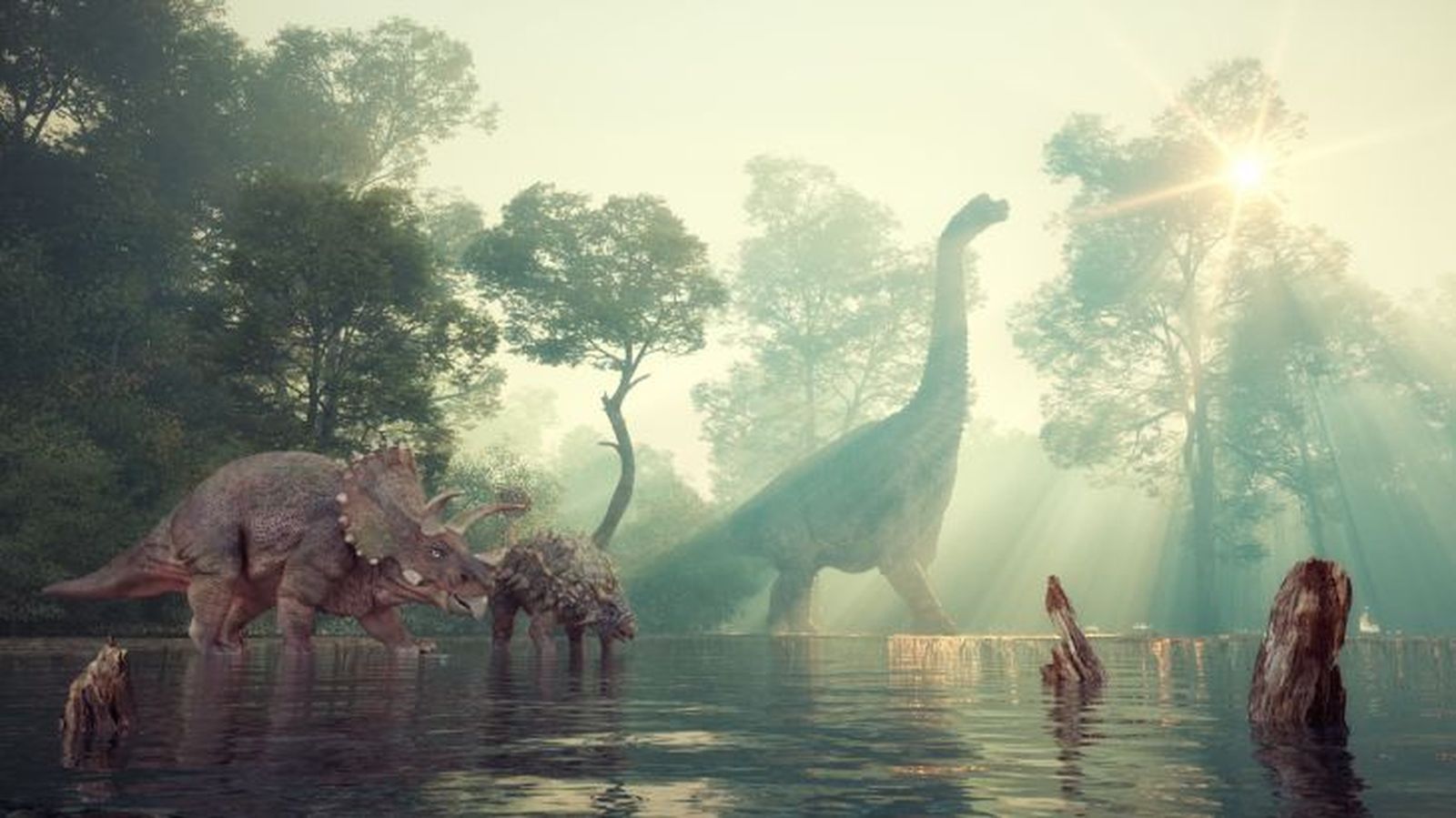 como eran los dinosaurios 15 como eran los dinosaurios 15