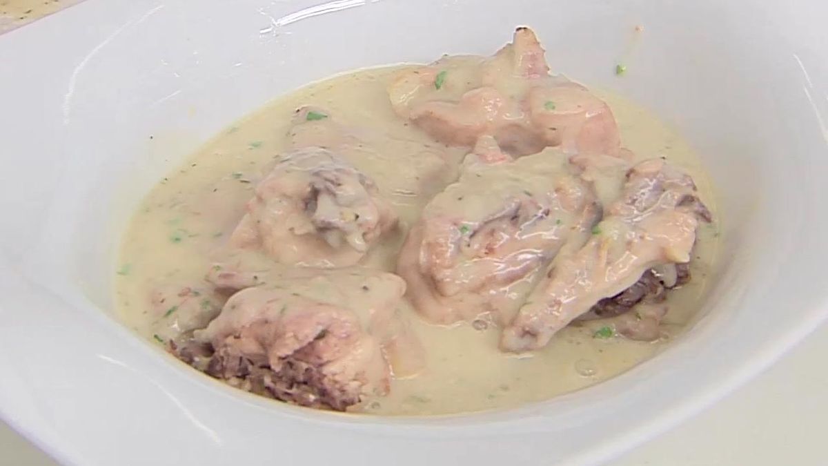 karl6690 conejo jerez p5