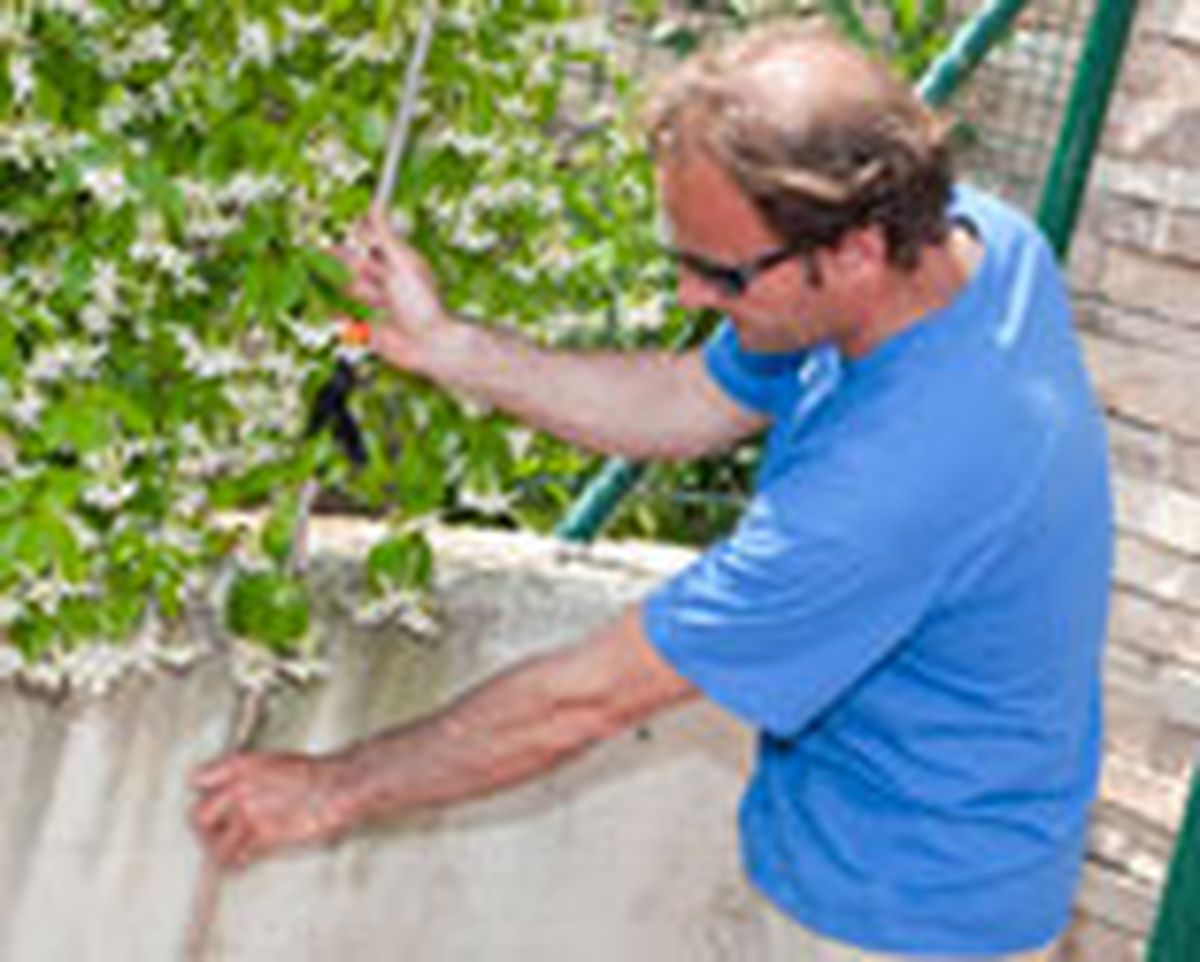 brico 0652 1 instalar ducha para jardin paso 14