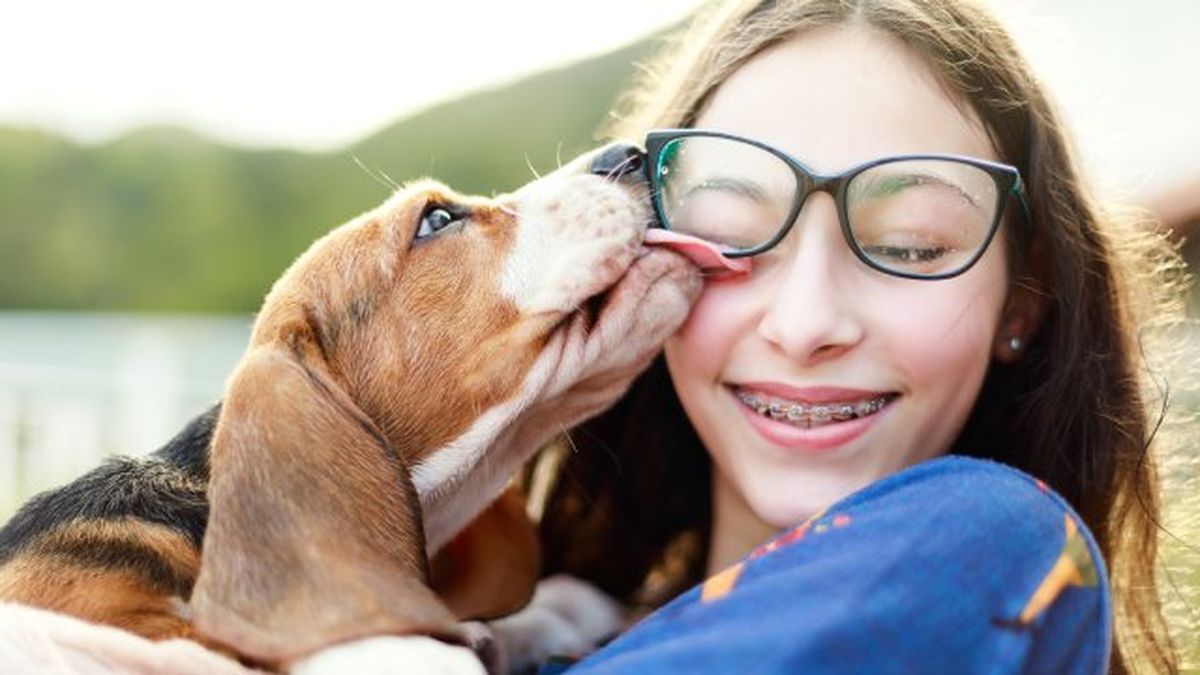 por que lamen los perros 4