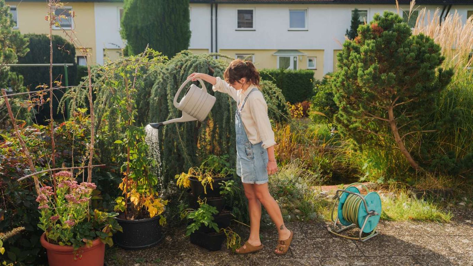 Saber cuándo regar marca la diferencia entre plantas sanas y enfermas.