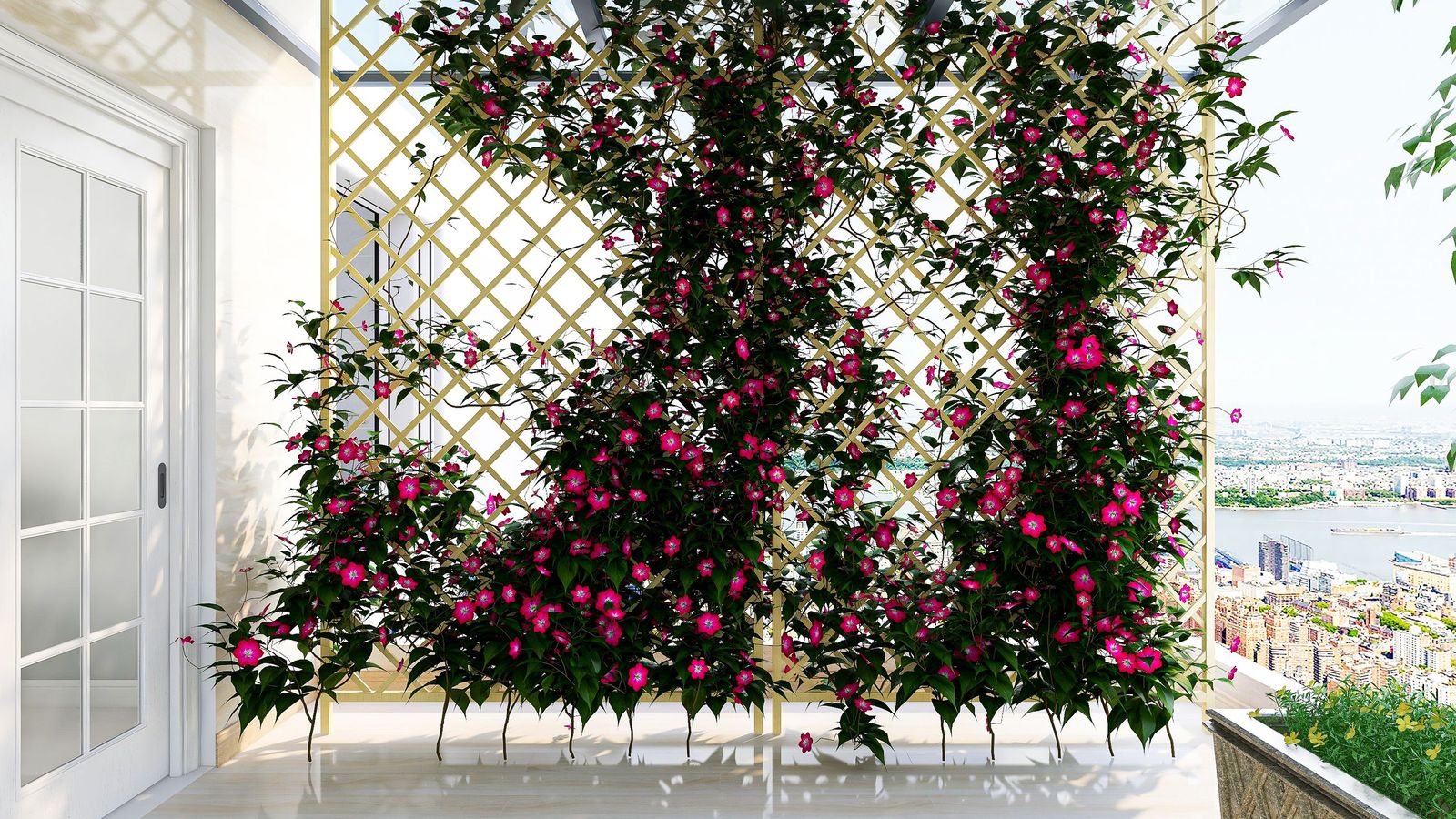 El enrejado es la solución perfecta para las plantas trepadoras