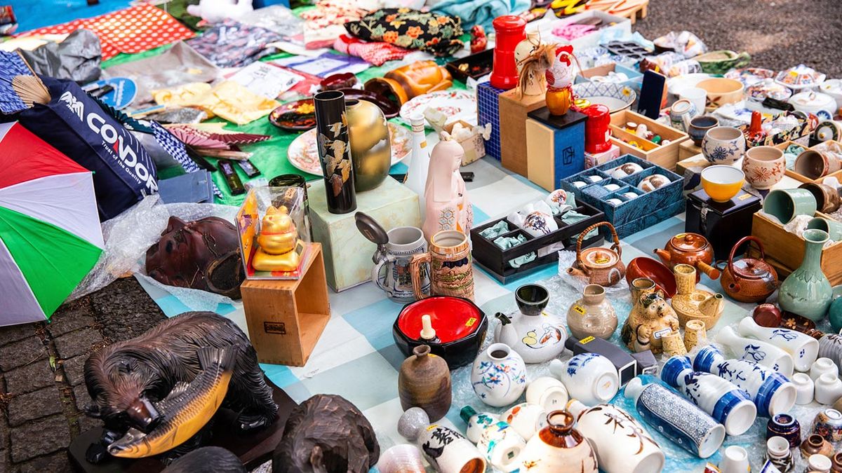 cosas donar refugio animales 10