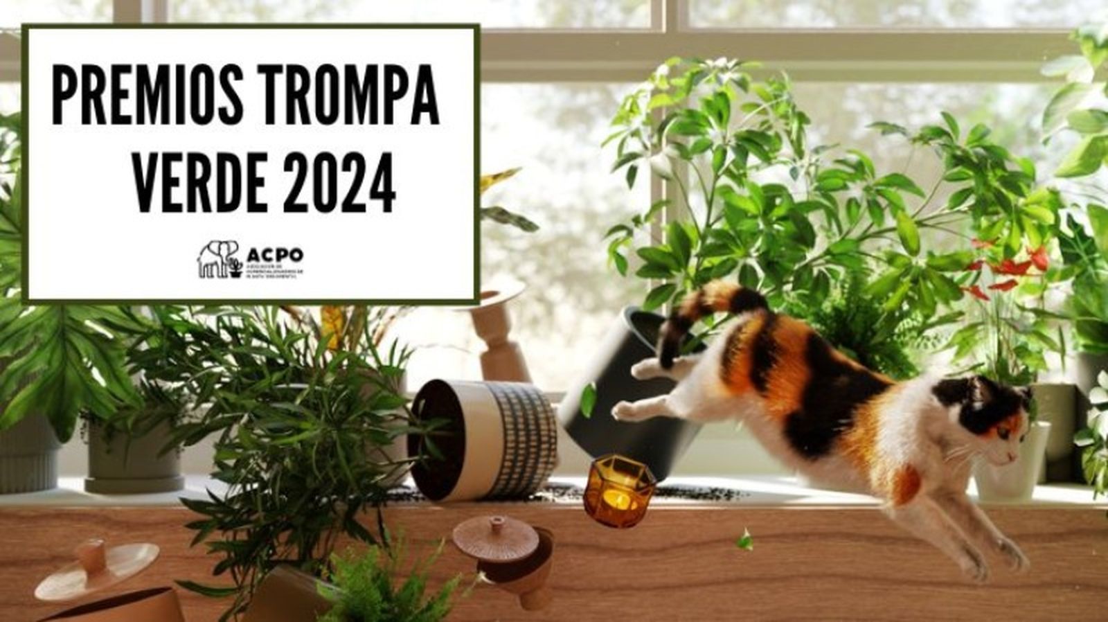 Premios Trompa Verde 2024 Premios Trompa Verde 2024