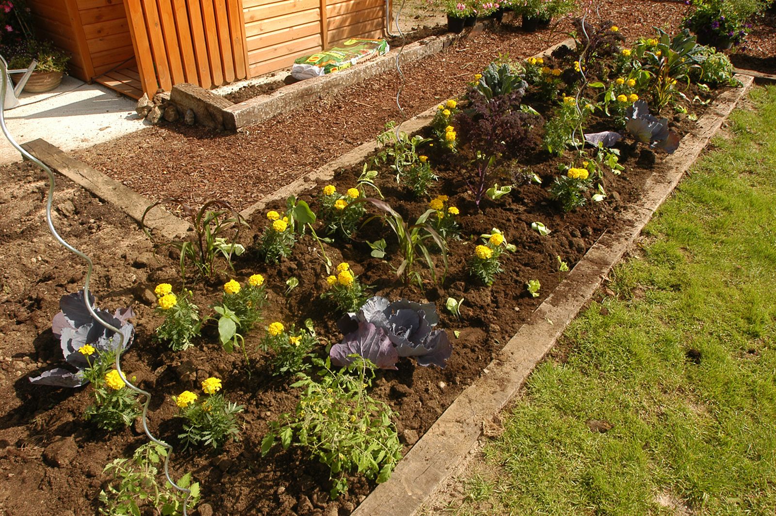 brico 0376 3 como hacer huerto plantas ornamentales xl brico 0376 3 como hacer huerto plantas ornamentales xl