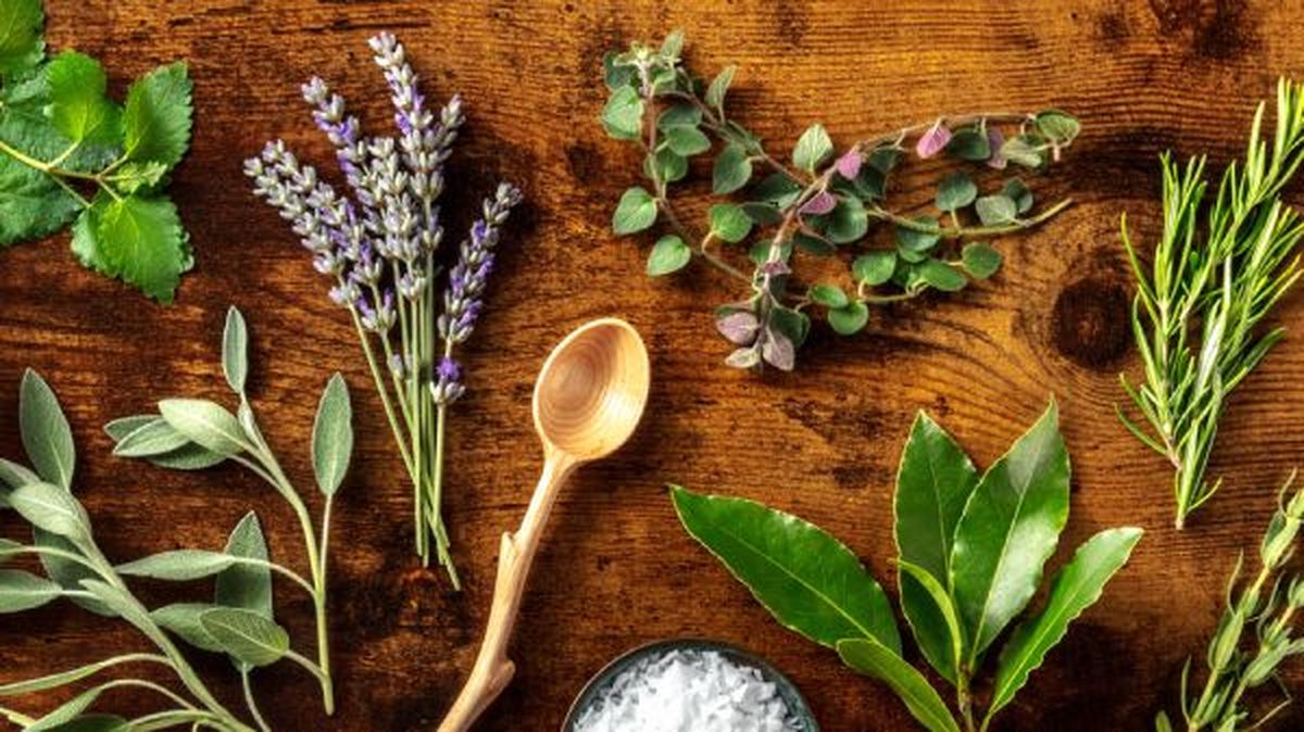 hierbas provenzales 2