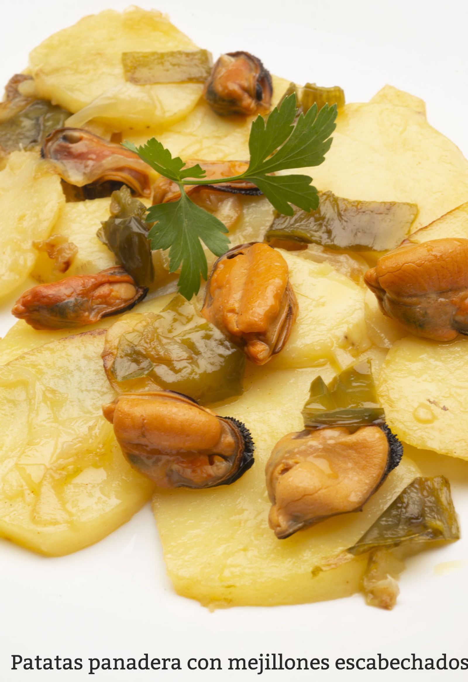 patatas panadera vertical patatas panadera vertical