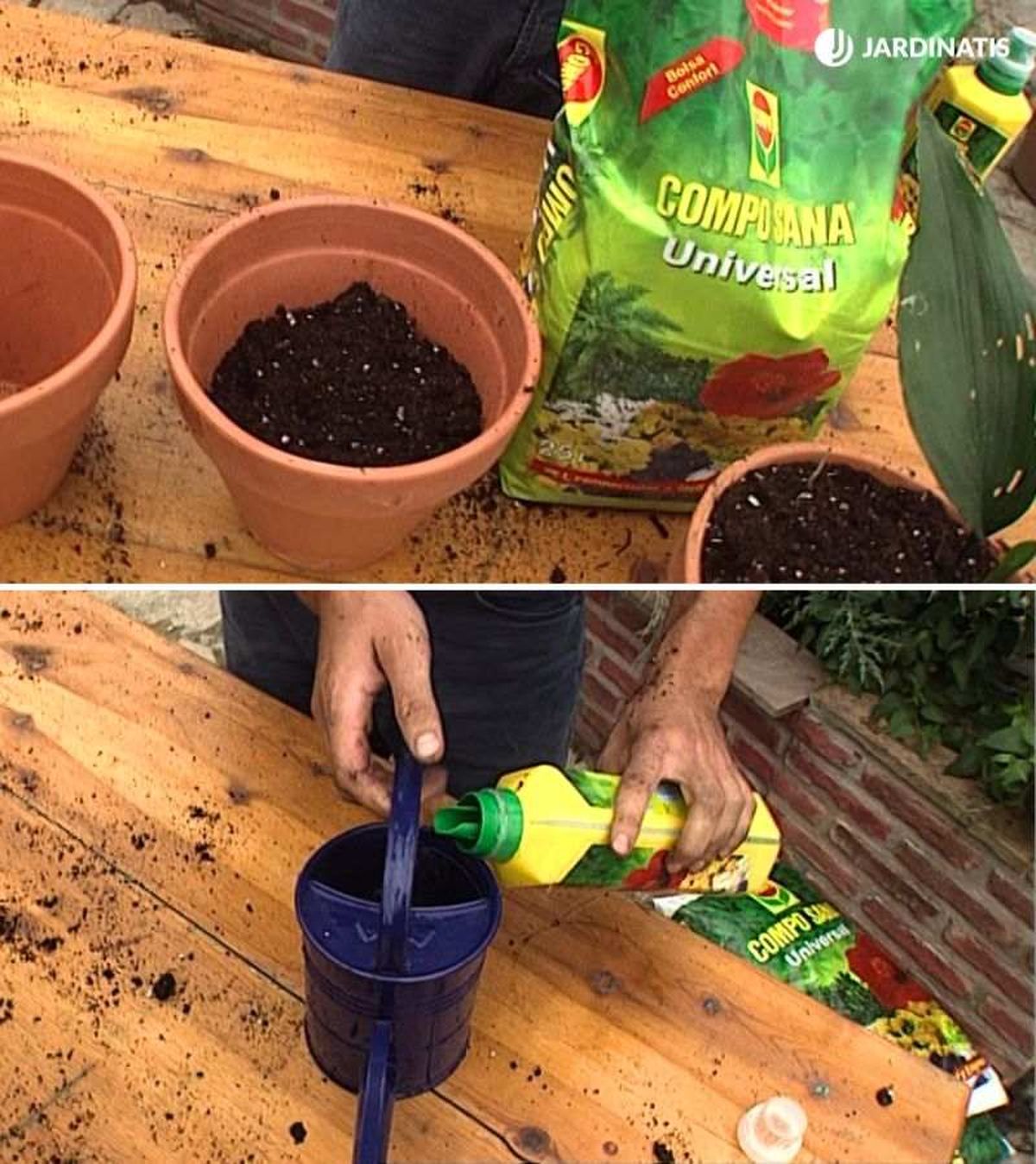 Escoge siempre un sustrato de calidad