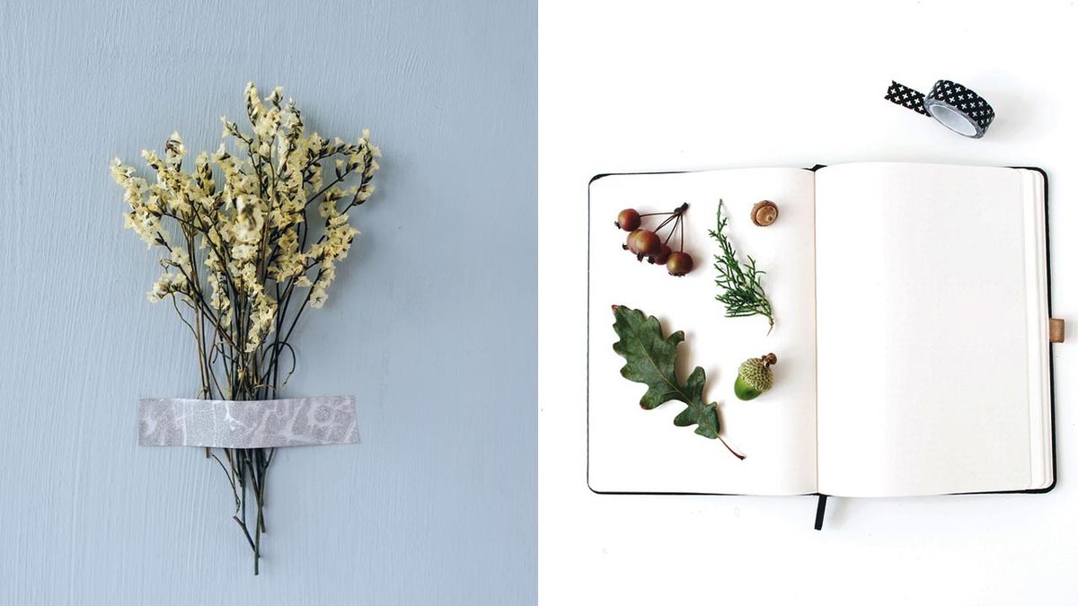 herbario domestico regalo amantes plantas flores
