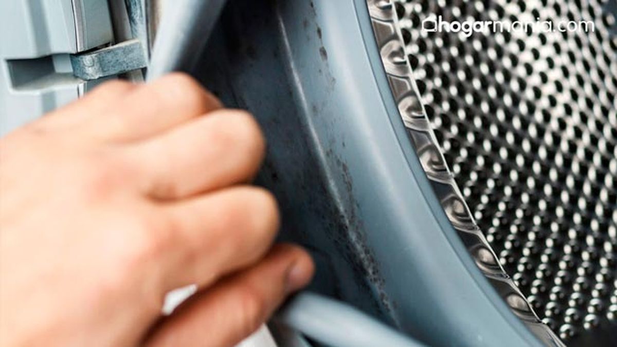 errores frecuentes al poner la lavadora sucia moho