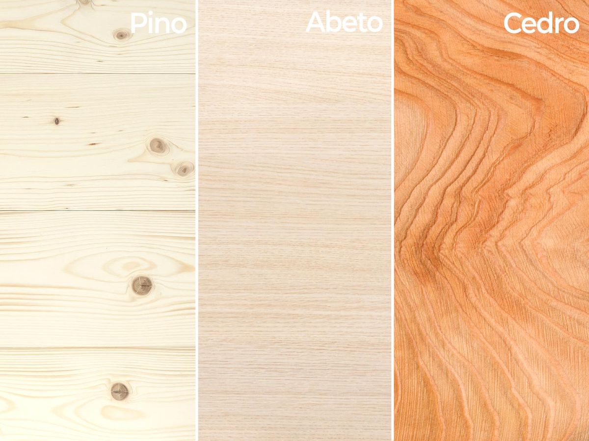Pino | Abeto | Cedro