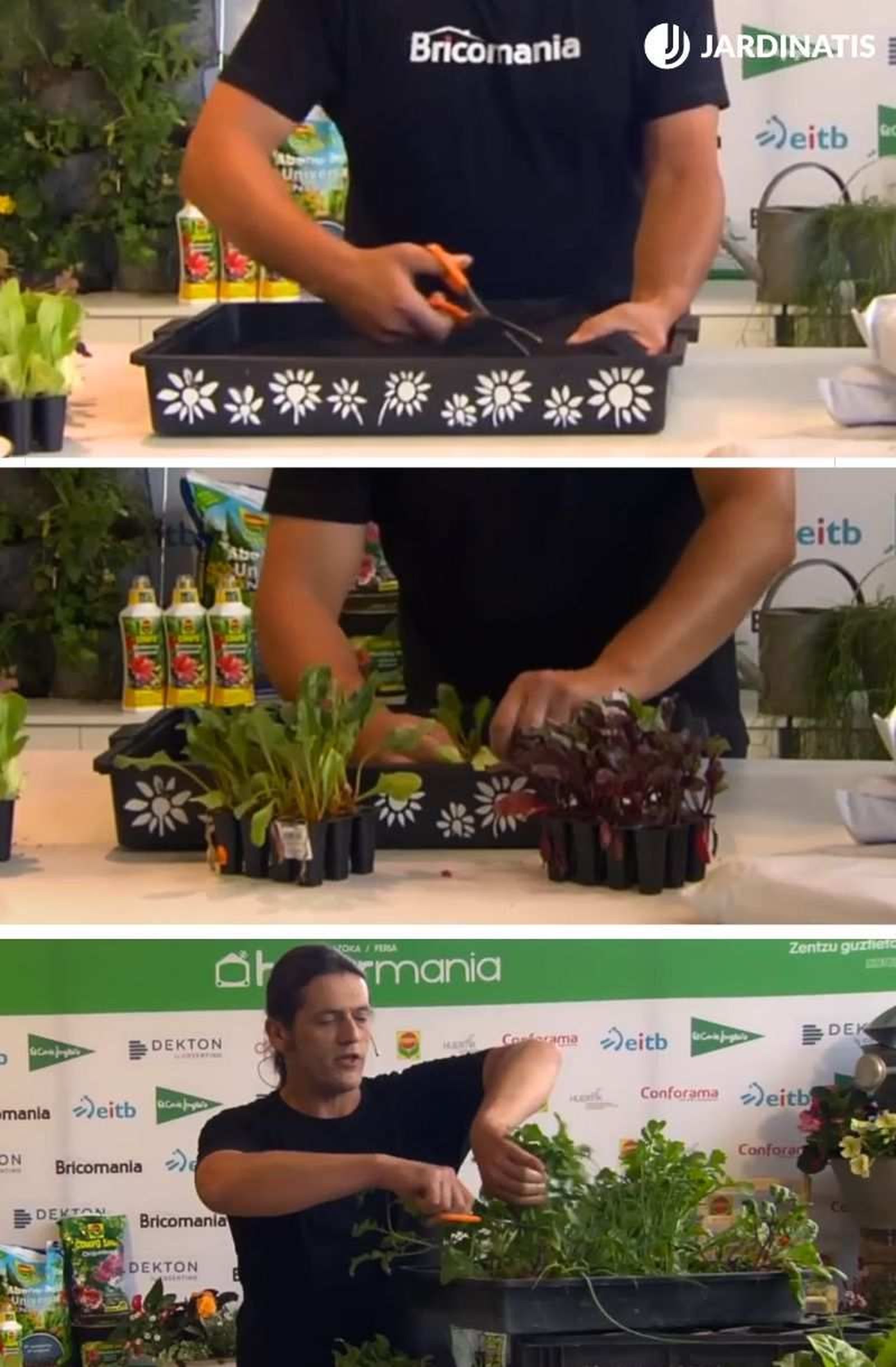 Cómo cultivar en bolsas de sustrato paso a paso