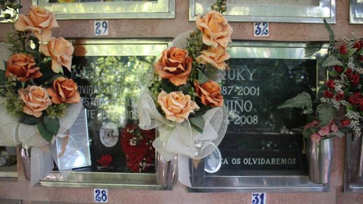 urnas mascotas fallecidas cementerio animales pequenos barcelona