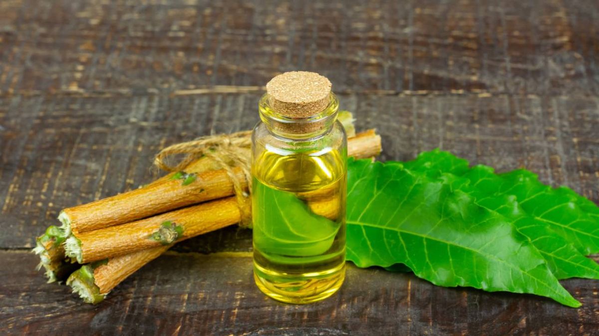 aceite de neem usos beneficios en plantas