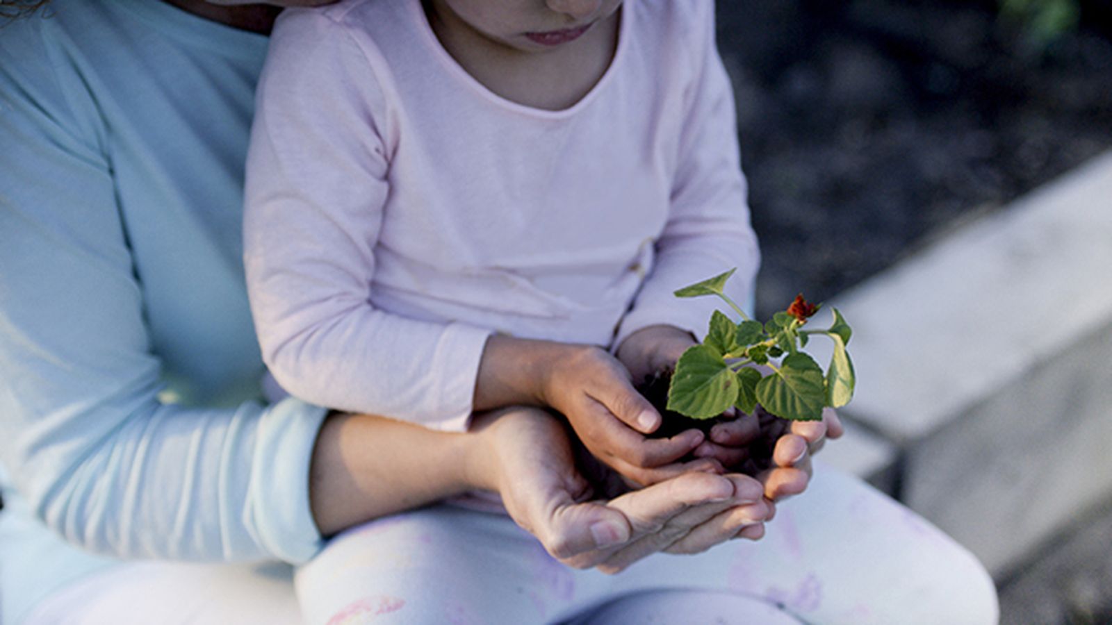 tareas de jardinería para compartir con los hijos tareas de jardinería para compartir con los hijos