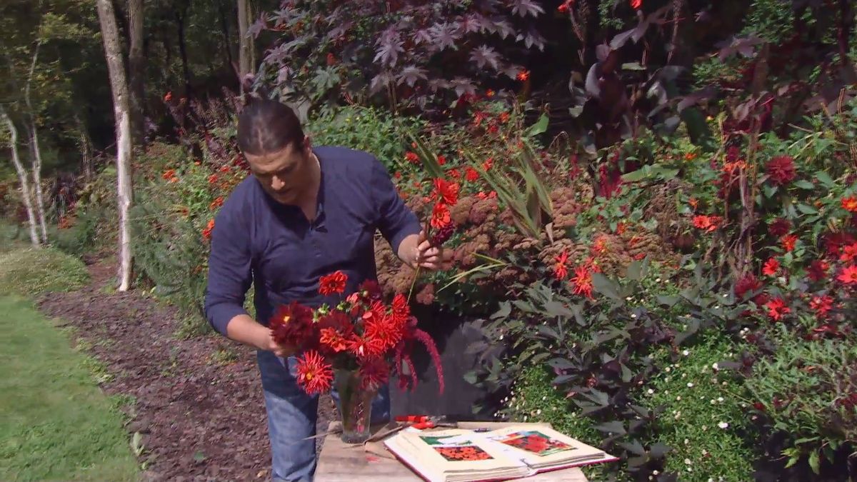 Decogarden 668 identificar dalias centro floral