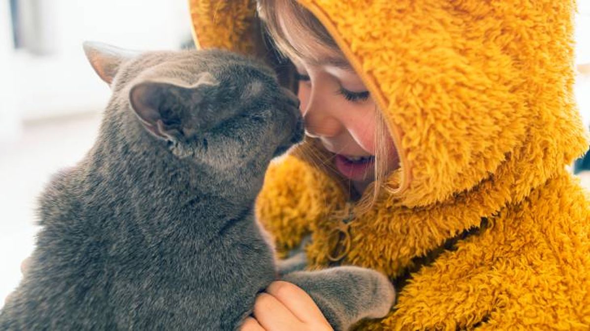 mascotas signo zodiaco ideales