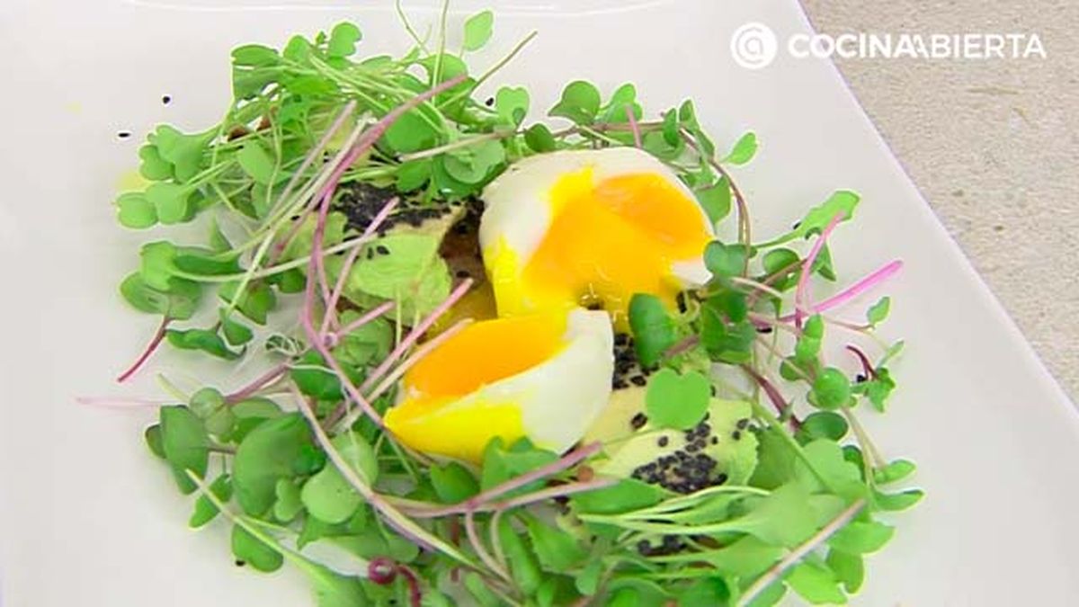 karl6847 huevo aguacate p4