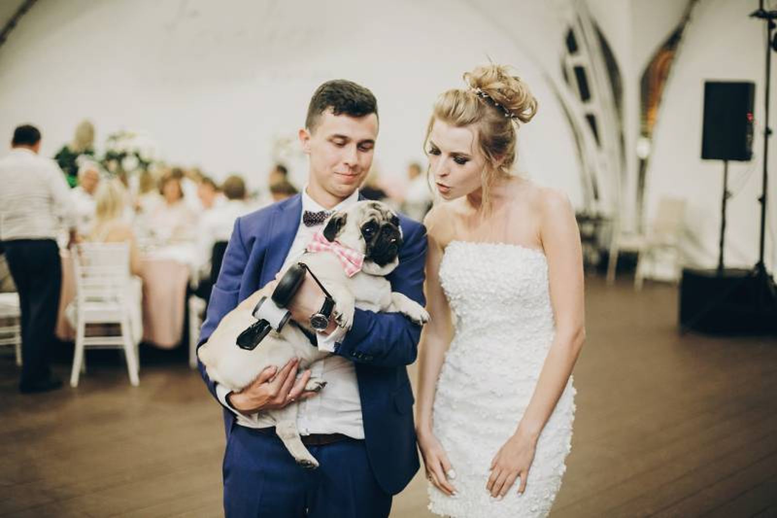 Conviene asegurarnos de que el sito en el que se hará la celebración admite mascotas. Conviene asegurarnos de que el sito en el que se hará la celebración admite mascotas.