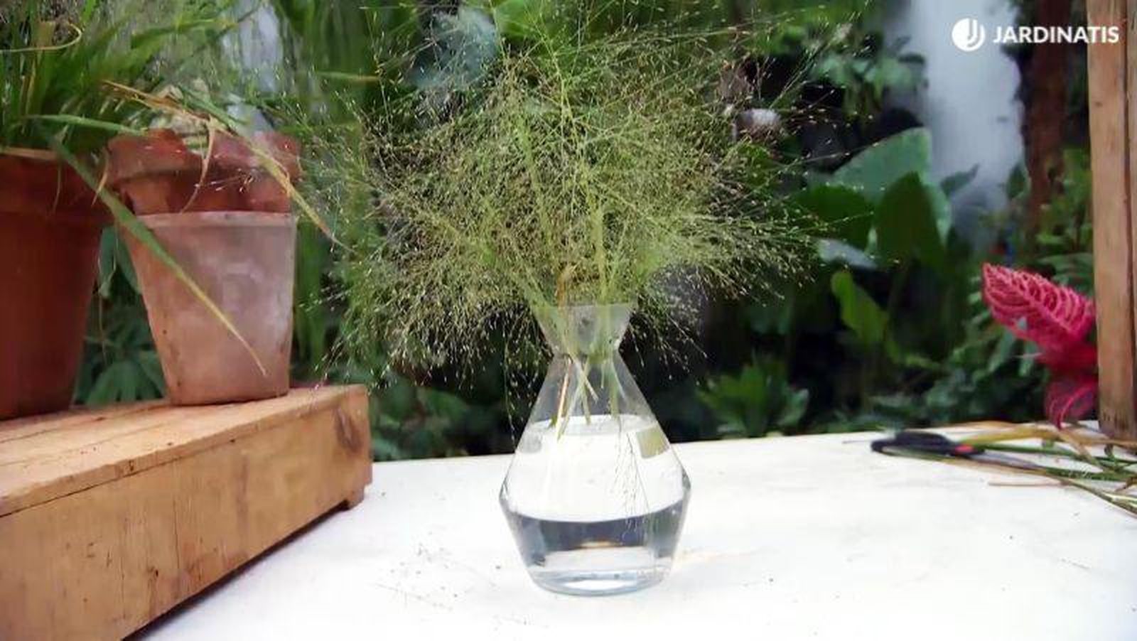 La Eraglotis es perfecta para los arreglos florales