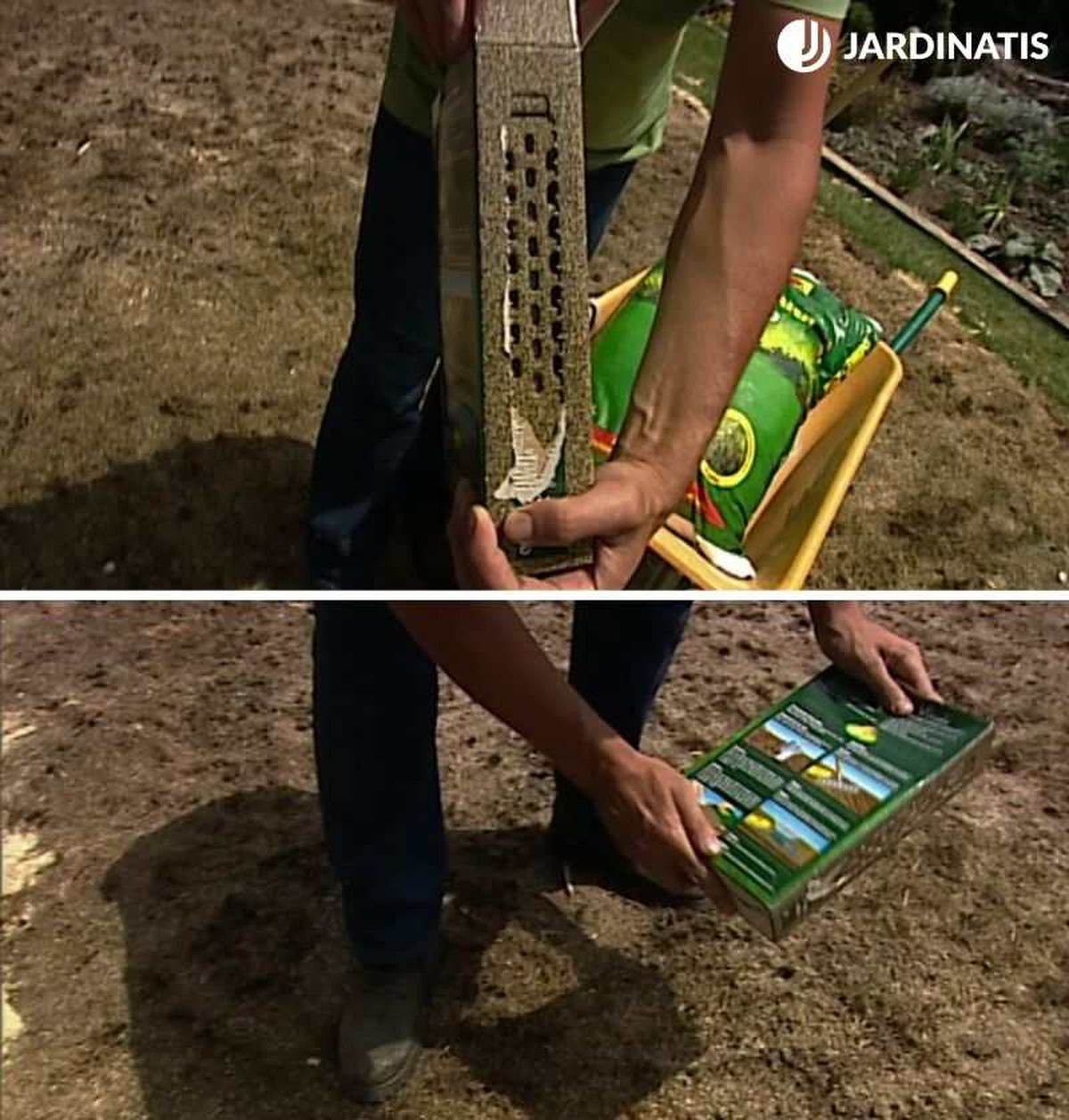 La proporción de semillas debe ser de 30-35 gramos por metro cuadrado