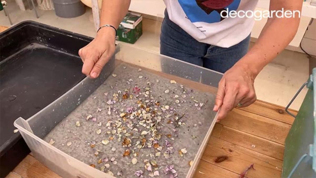 Introducir flores para hacer papel reciclado decorado.