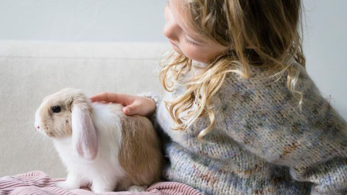 nombres originales para animales 3