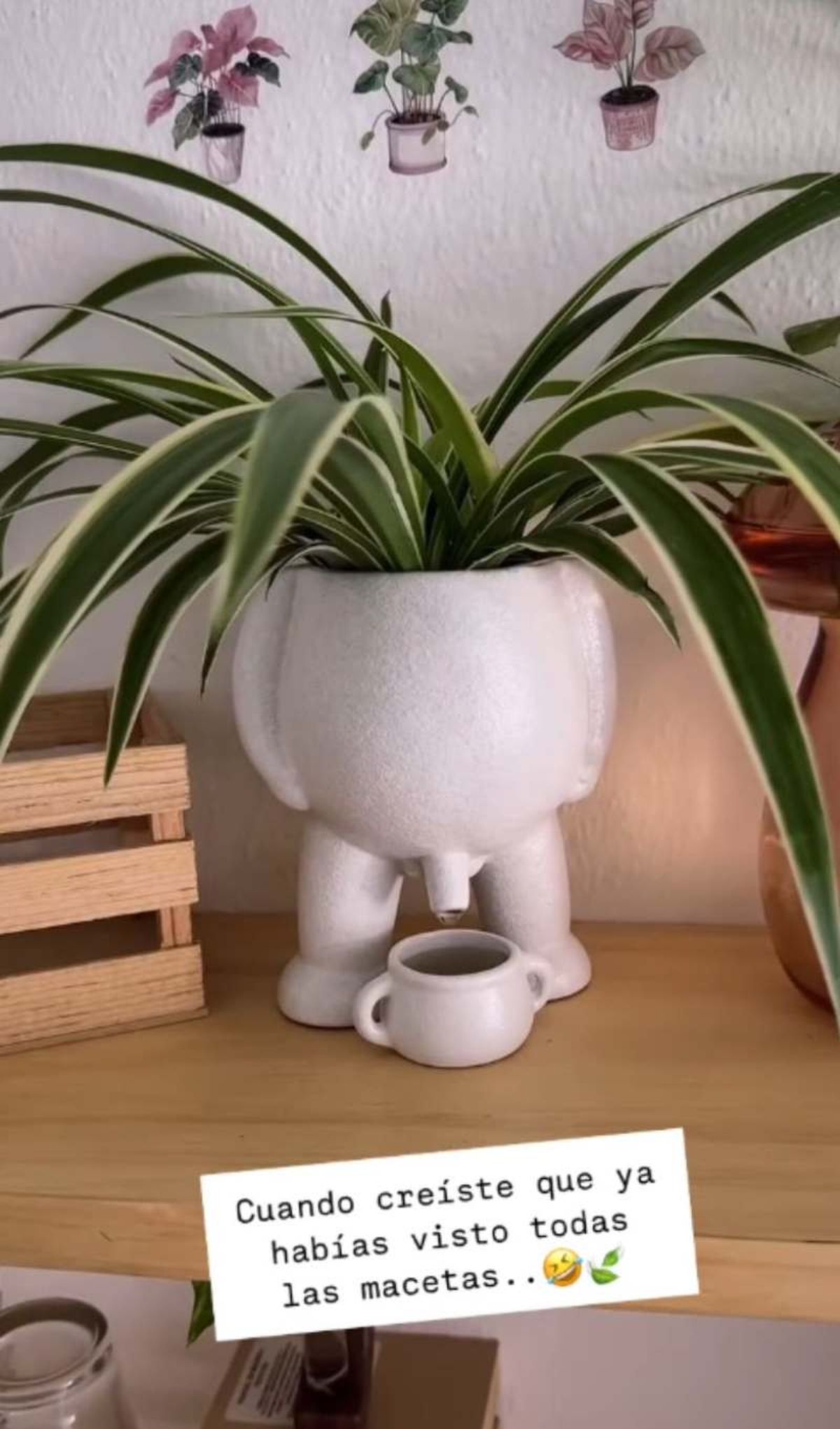 Esta maceta simula que hace pis