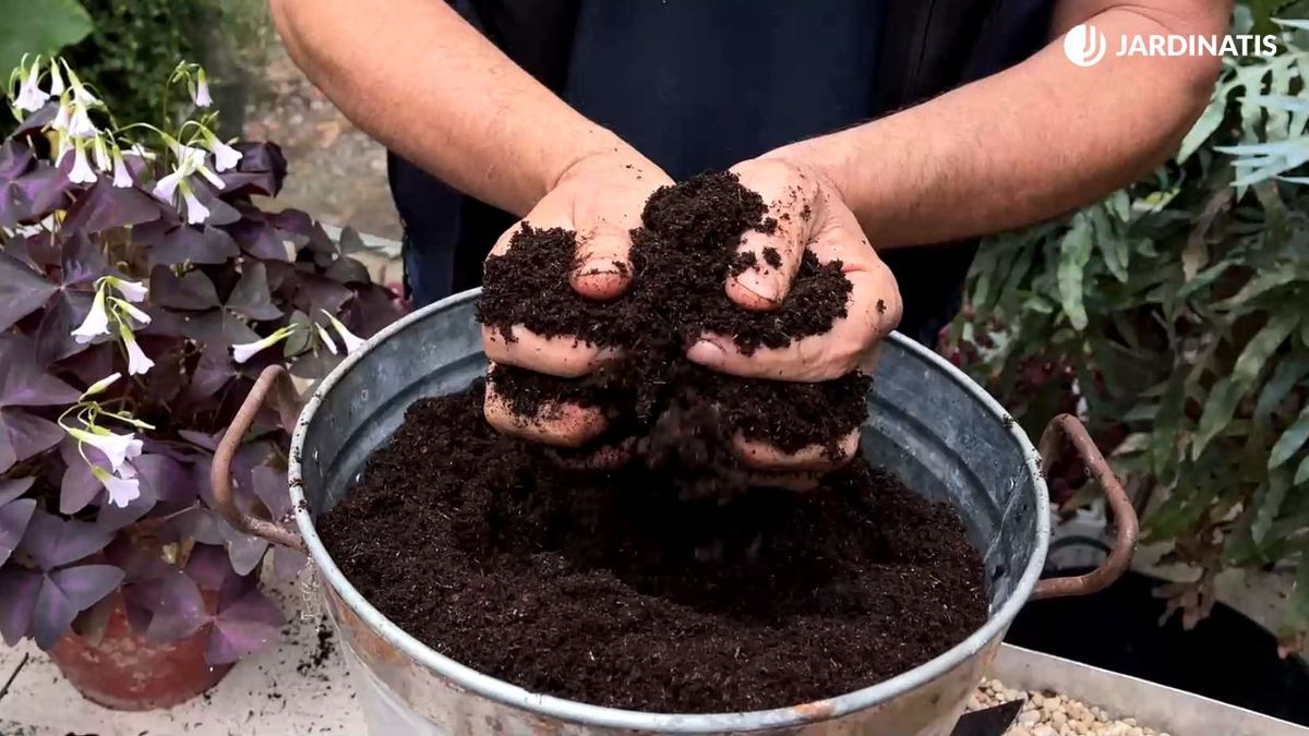 turba para las plantas que es y usos