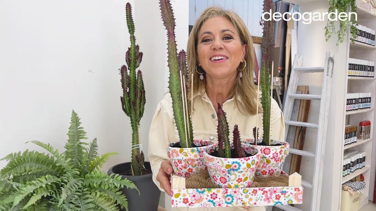 revivir cactus decorar maceta decoupage