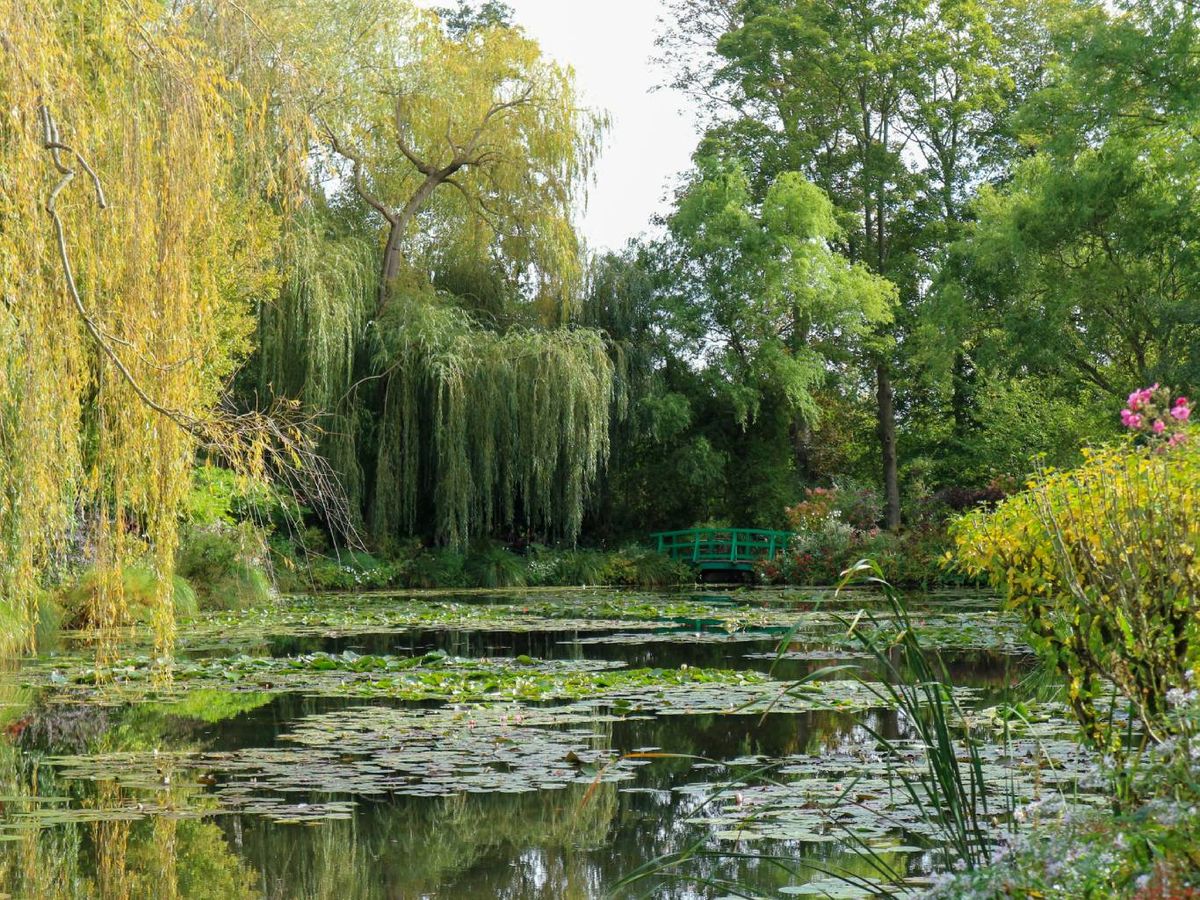 Estanque de nenúfares del jardín de Giverny de Claude Monet.