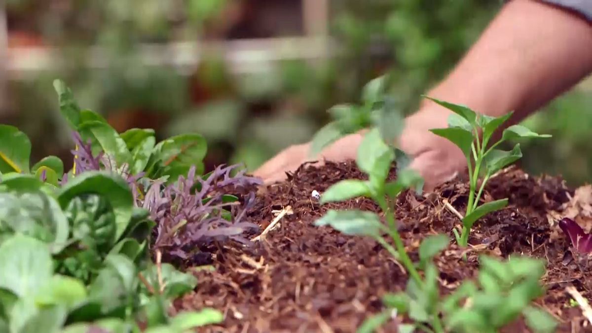 brico 950 3 huerto urbano contenedor geotextil acolchado