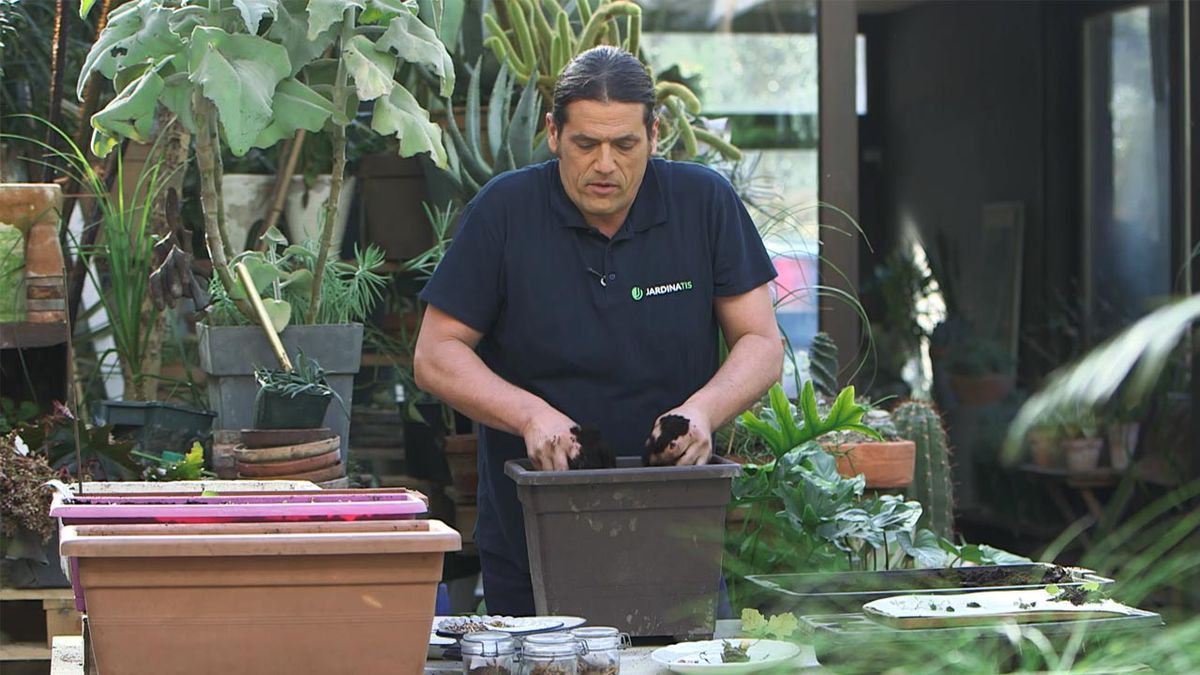 brico 1027 claves para hacer un buen semillero sustrato