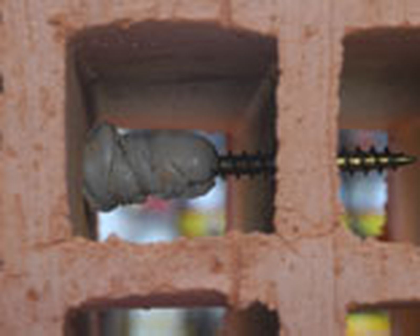 341 coloc tac p6 341 coloc tac p6