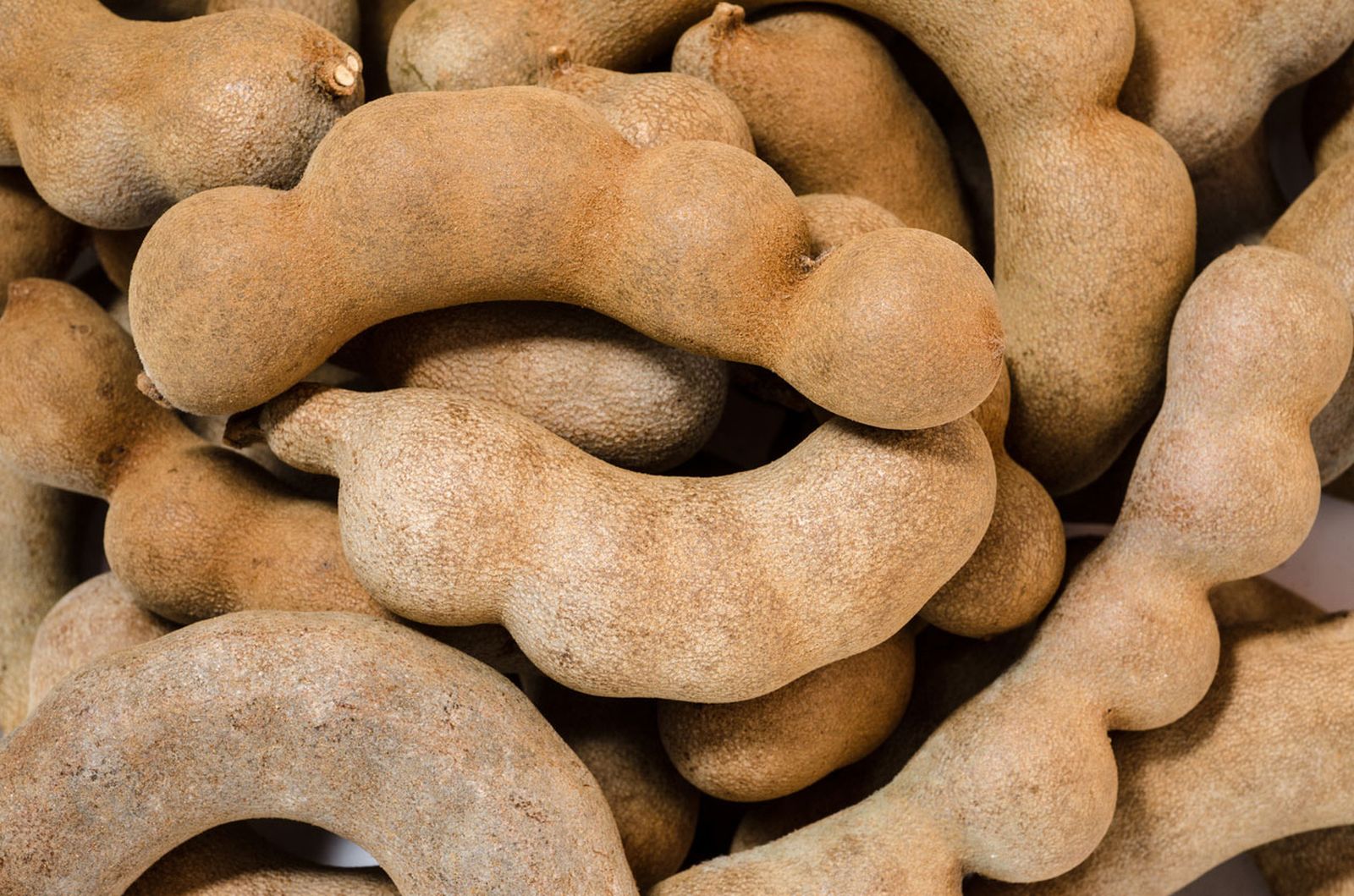fruta tamarindo