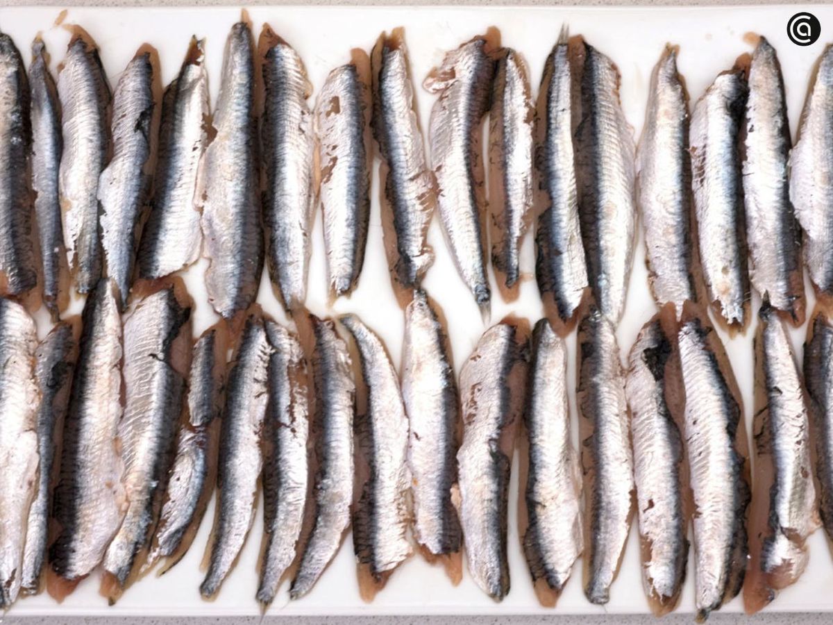 Limpia las anchoas y condiméntalas