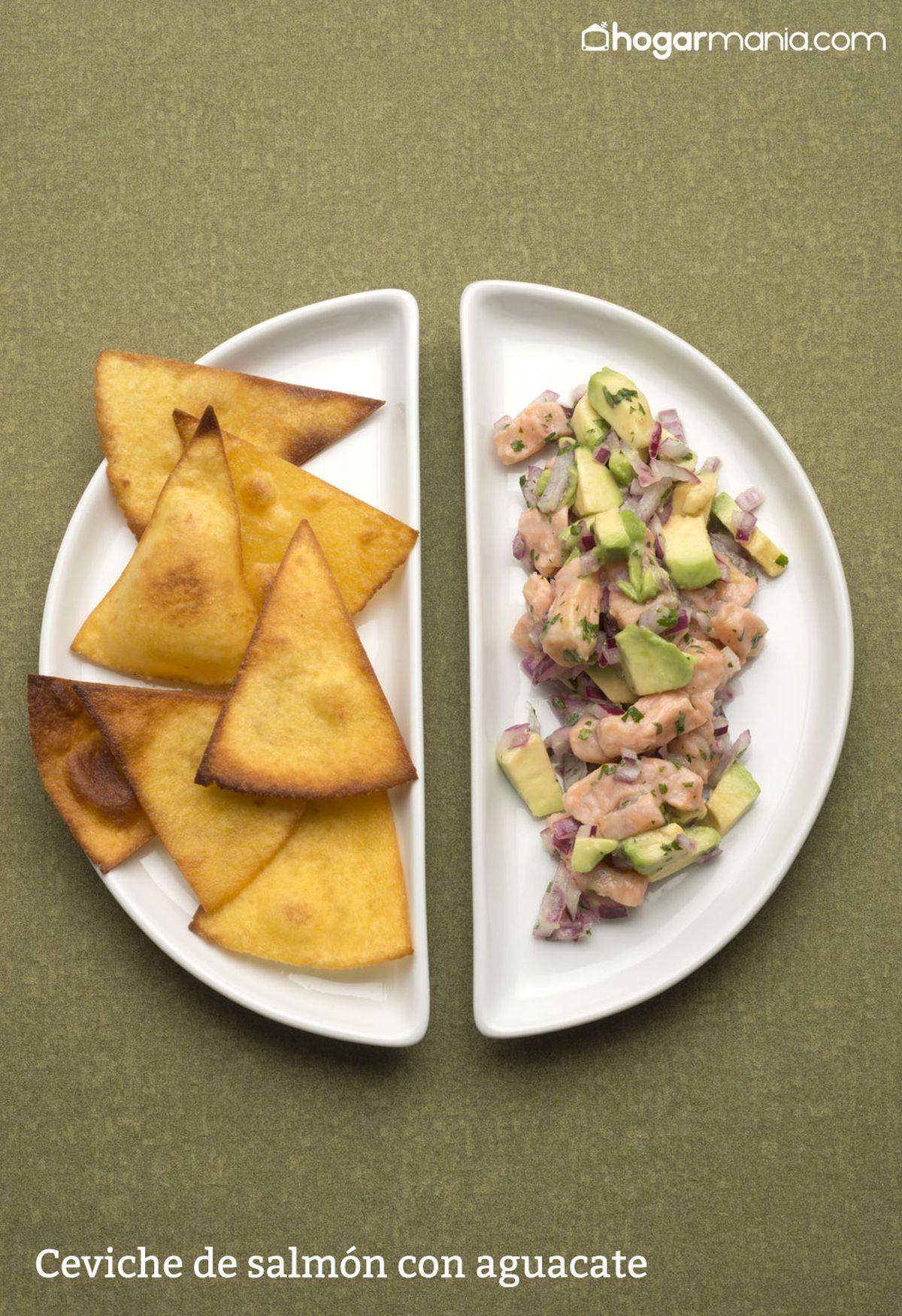 6030 1 Ceviche de salmon con aguacate vertical xl