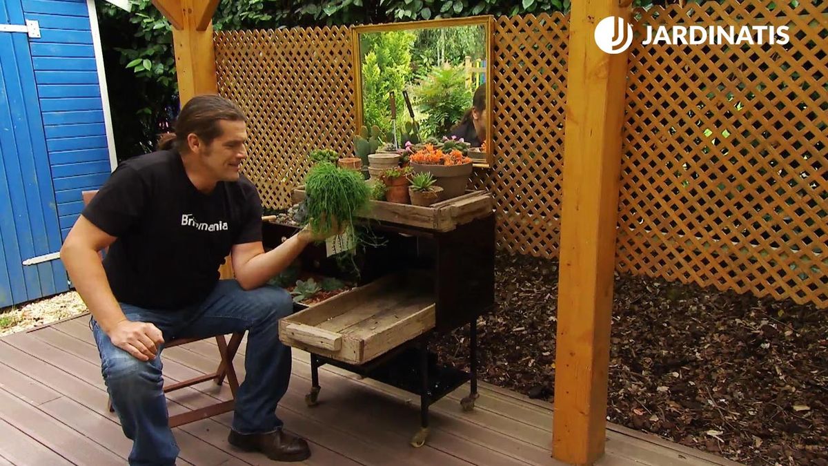 BRICO_JARDIN_880_Mueble minibar plantas crasas y cactus xl