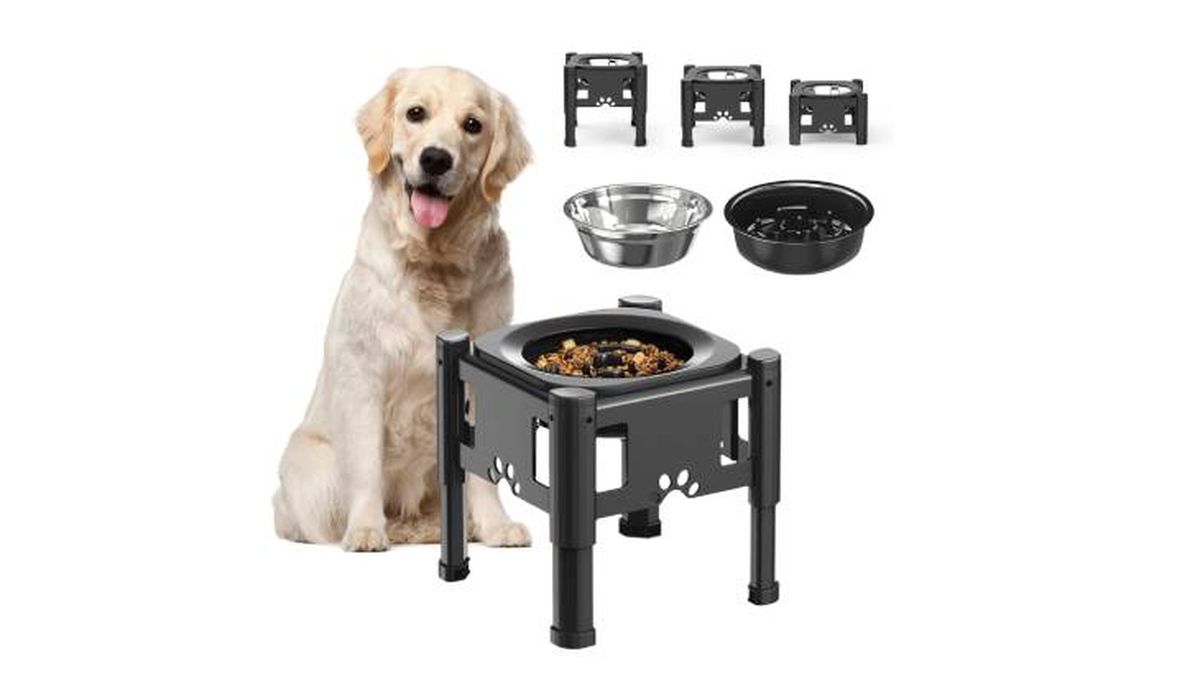 accesorios perros mayores comedero amazon