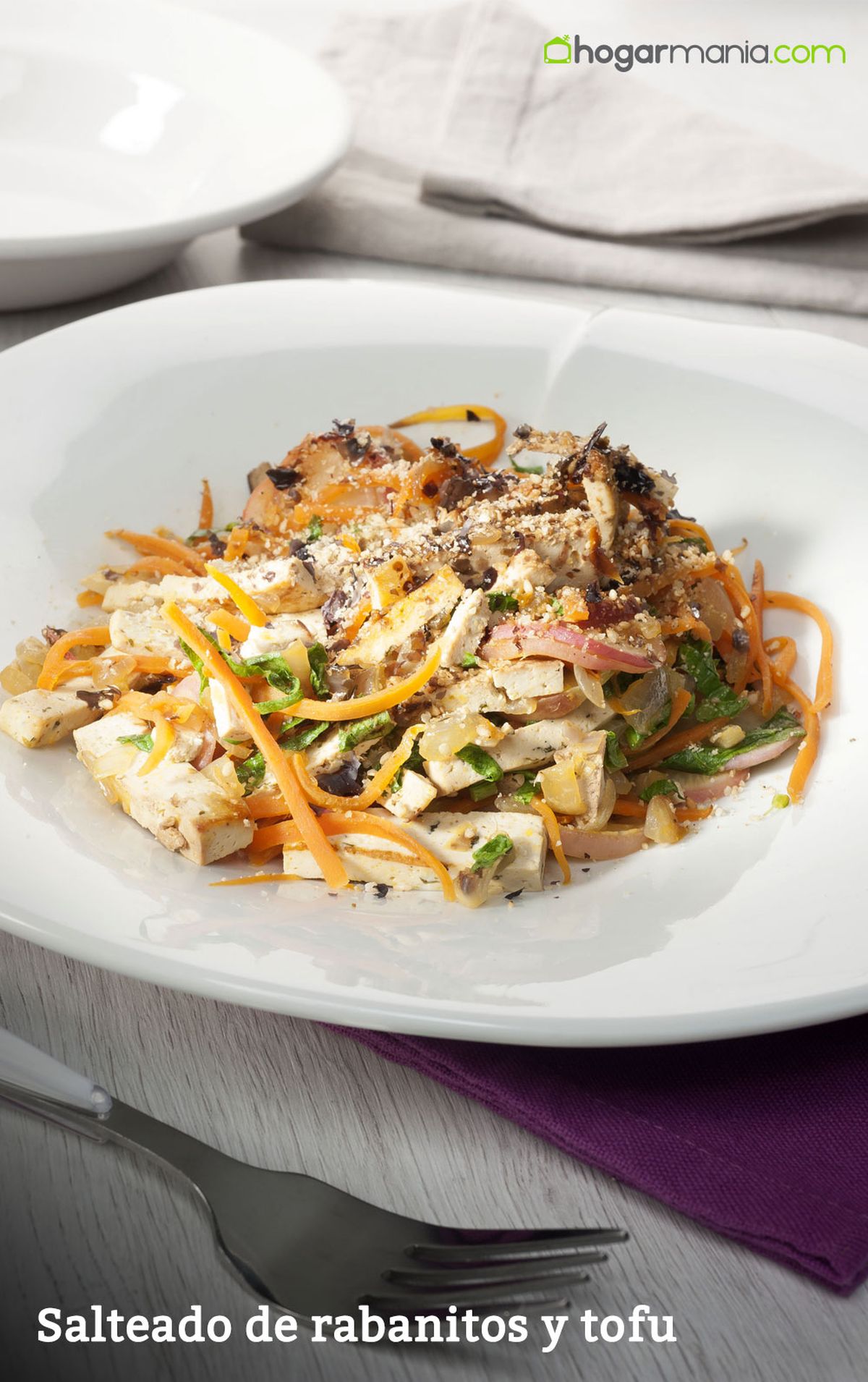 CABI0007 Zuhaitz   Salteado de rabanitos y tofu vertical xl