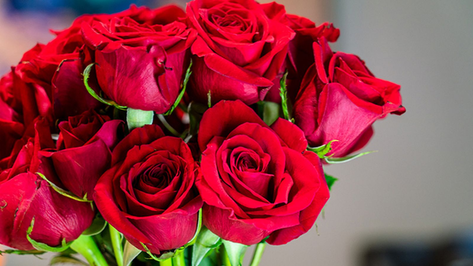 ramo de rosas para dia de la madre ramo de rosas para dia de la madre